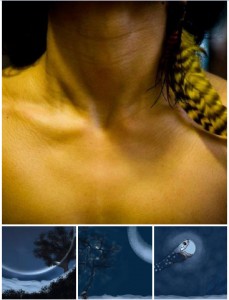 snakeMoonStoryTeller copy